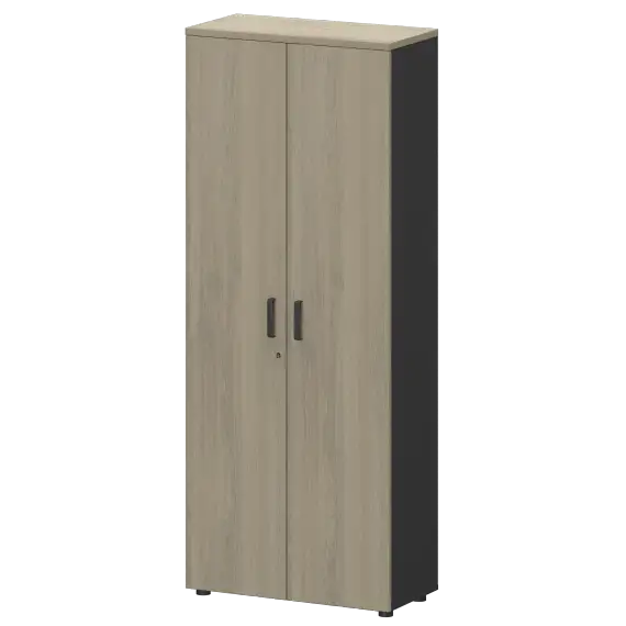 Шкаф СМШ-58Д Тип2  792x380x1990 Смарт