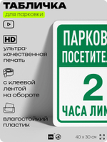 Табличка для парковки "Парковка посетителей, 2 часа лимит", для дома, офиса, организаций, 40х30 см, Silver Plane x Айдентика Технолоджи