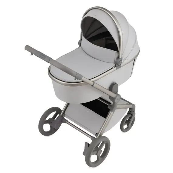 Коляска ANEX Flo 2 в 1 Frossy
