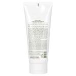 Nature Republic, очищающая пенка со свежими травами, ацерола, 170 мл (5,74 жидк. унции)