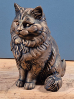 Рэгдолл кошка