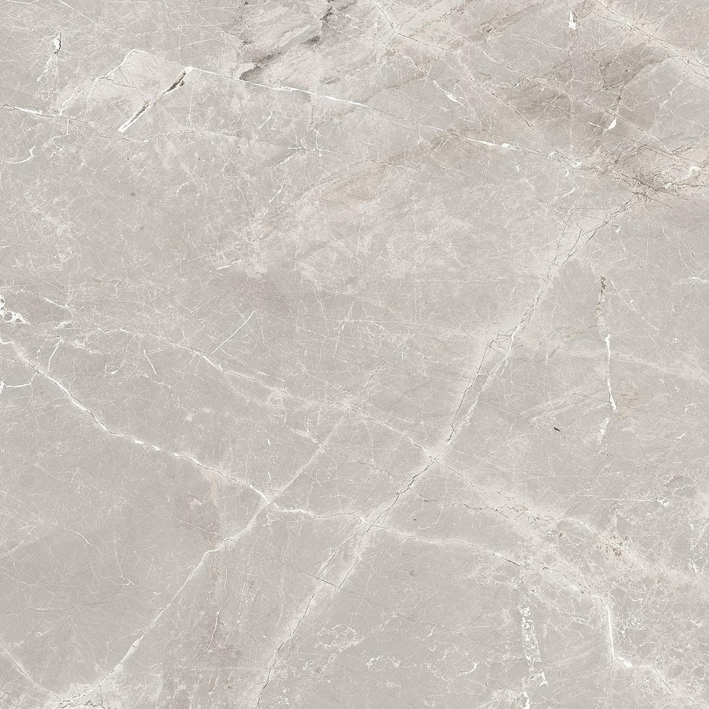 Керамогранит Tulip серый 60x60 GT606012101SPR