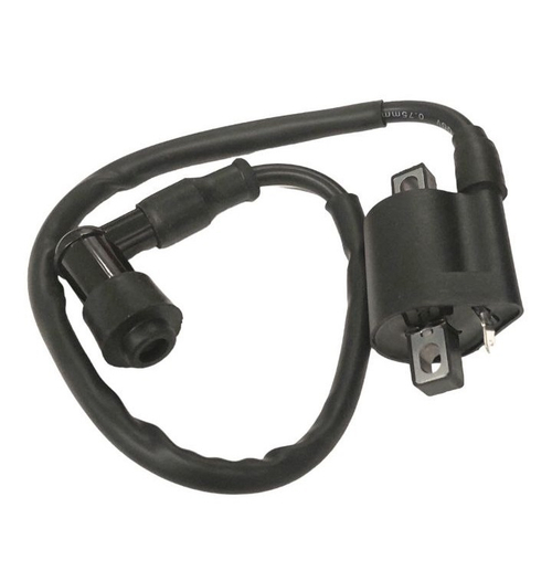 Катушка зажигания в сборе Minsk SCR 250 Scrambler