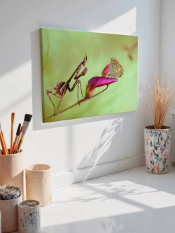 Картина на стену 40 X 50 Богомол и бабочка