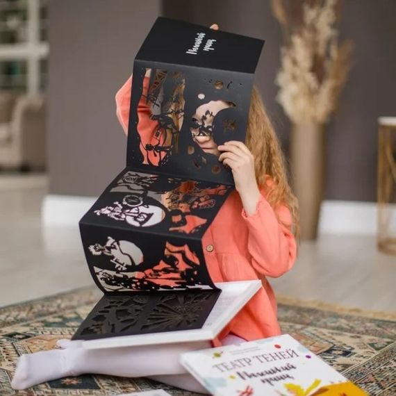 Театр теней "Маленький принц"