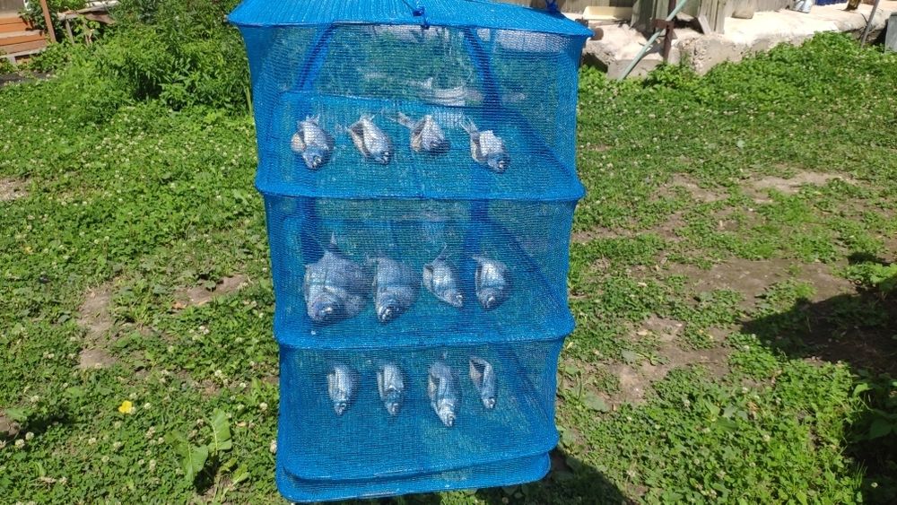 Сушилка универсальная для грибов, ягод, рыбы 40*40*55