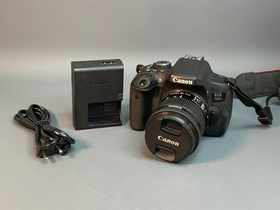Canon 750D Kit 18-55mm IS STM 24.800 кадров, царапина на линзе