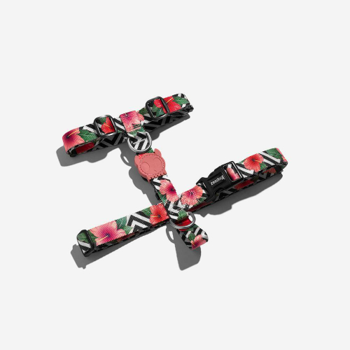 Шлейка MAHALO Zee.Dog