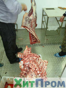 Комплекс убоя и переработки КРС до 20 голов/смена и МРС до 200 голов/смена. р. Татарстан