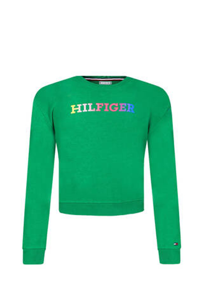 Худые MONOTYPE SWEATSHIRT Tommy Hilfiger - зеленый(KG0KG07887)