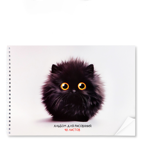 Альбом для рисования «Черный пушистик» А4, 40 л.