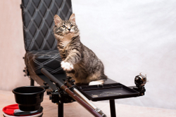 Готовый комплект ТЕХНО №2 (для мелководья с маленькой змейкой)