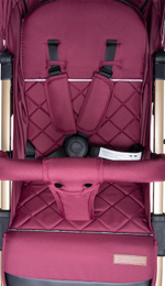 Коляска прогулочная Farfello Comfy Go, вишня Артикул: CG-19