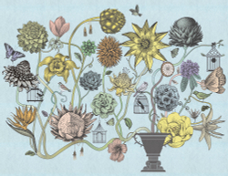 Коллекция Grafika Natura