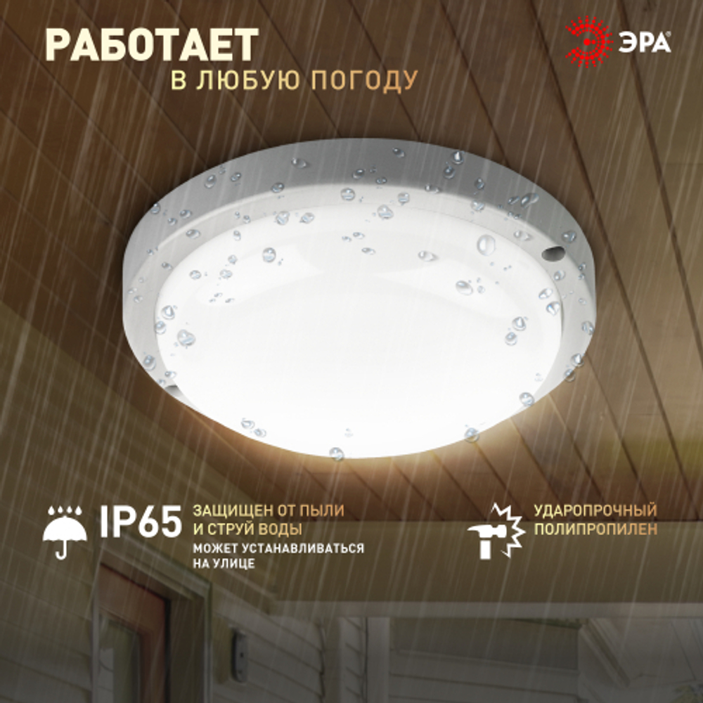 Светильник ЖКХ светодиодный ЭРА SPB-201-0-40K-015 IP65 15Вт 4000К D170 круг