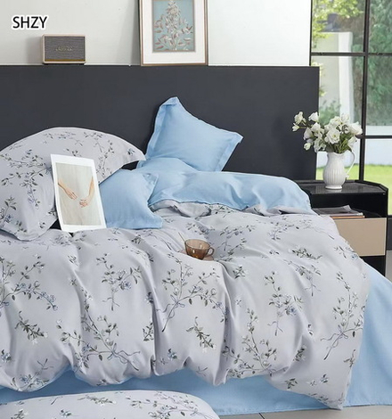 КПБ 2 сп с европростыней ПОПЛИН "П34"