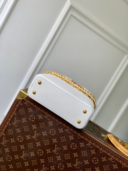 Louis Vuitton Capucines (3 sizes)
