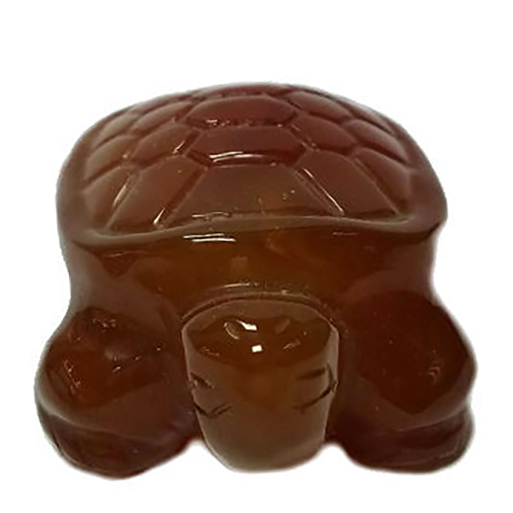 Черепаха сердолик асс.