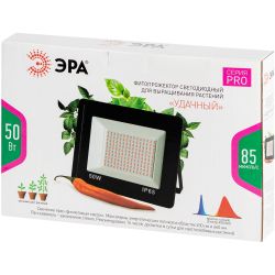 Фитопрожектор для растений светодиодный ЭРА FITO-50W-RB-LED для цветения и плодоношения красно-синего спектра 50 Вт