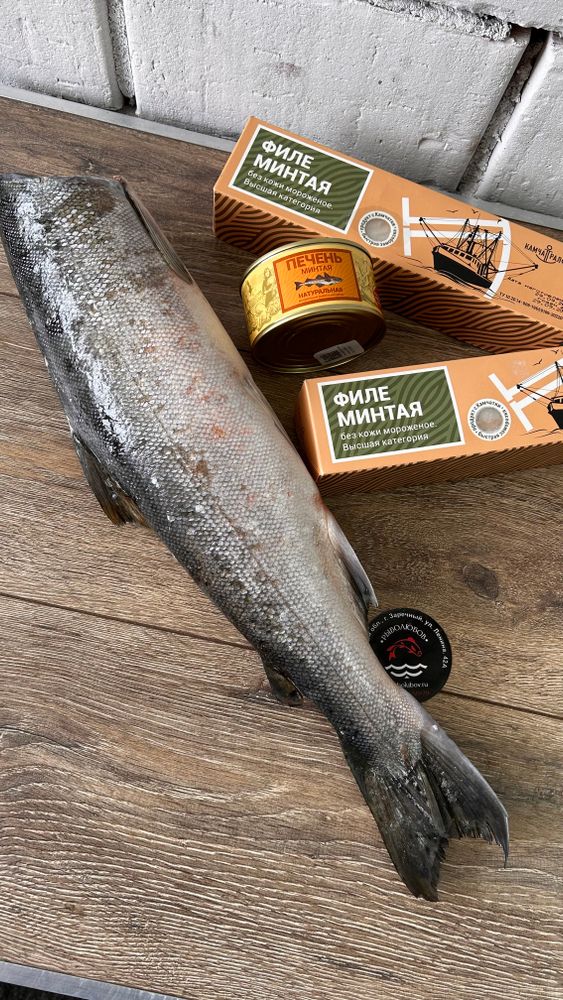 Сет Камчатка