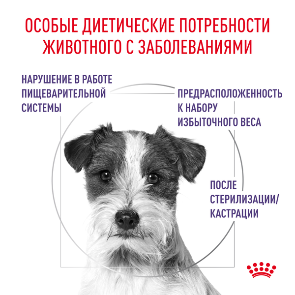 Сухой корм Royal Canin Neutered Adult Small Dog для взрослых стерилизованных/кастрированных собак мелких пород