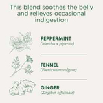 Traditional Medicinals, Organic Belly Comfort, перечная мята, без кофеина, 16 чайных пакетиков в упаковке, 28 г (0,99 унции)