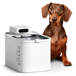 Питьевые фонтаны