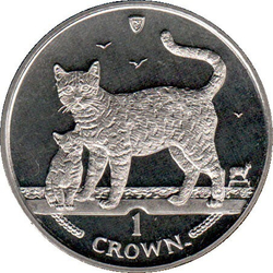 Бенгальская кошка