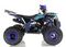 Квадроцикл WELS Thunder EVO