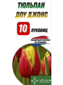 тюльпан доуджонс10луковиц