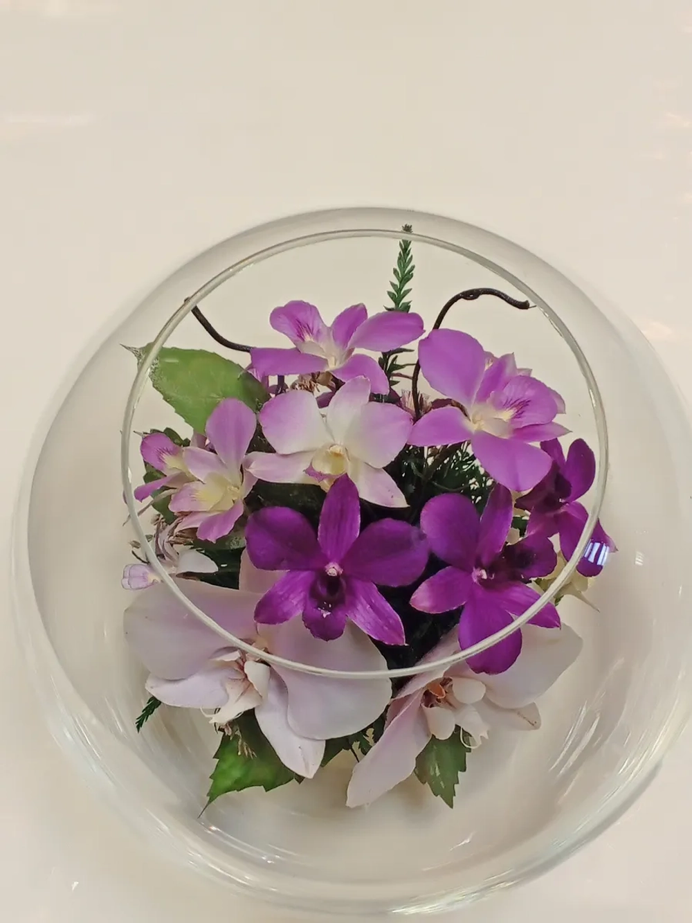 натуральные орхидеи в стекле, вакуум