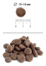 Сухой корм для собак Blitz Holistic Fresh Trout Adult Dog Medium & Large breeds (Monoprotein) со свежей форелью для средних и крупных пород Holistic Гипоаллергенный корм для чувствительного пищеварения, 1,5 кг