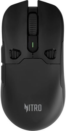 Acer