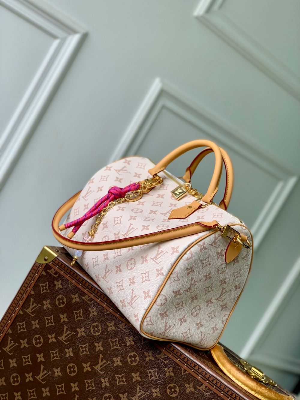 Louis Vuitton Speedy Soft 30