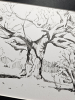 Картина, графика в паспарту 21х30 см на стену для интерьера "Дуб"