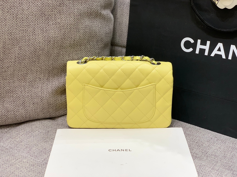Chanel Bag 20 cm