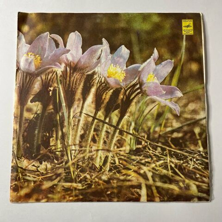 Винтажная виниловая пластинка LP София Ротару II (СССР 1977) Твои Следы