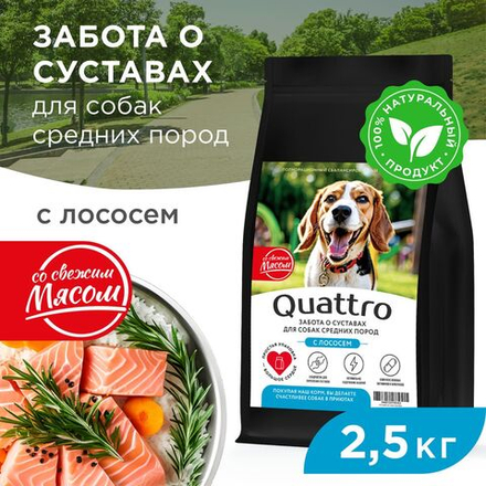 Корм сухой для взрослых собак средних пород, премиум полнорационный комплекс, забота о суставах, с лососем, 2,5 кг, QUATTRO