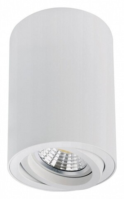 Накладной светильник Arte Lamp Sentry A1566PL-1WH