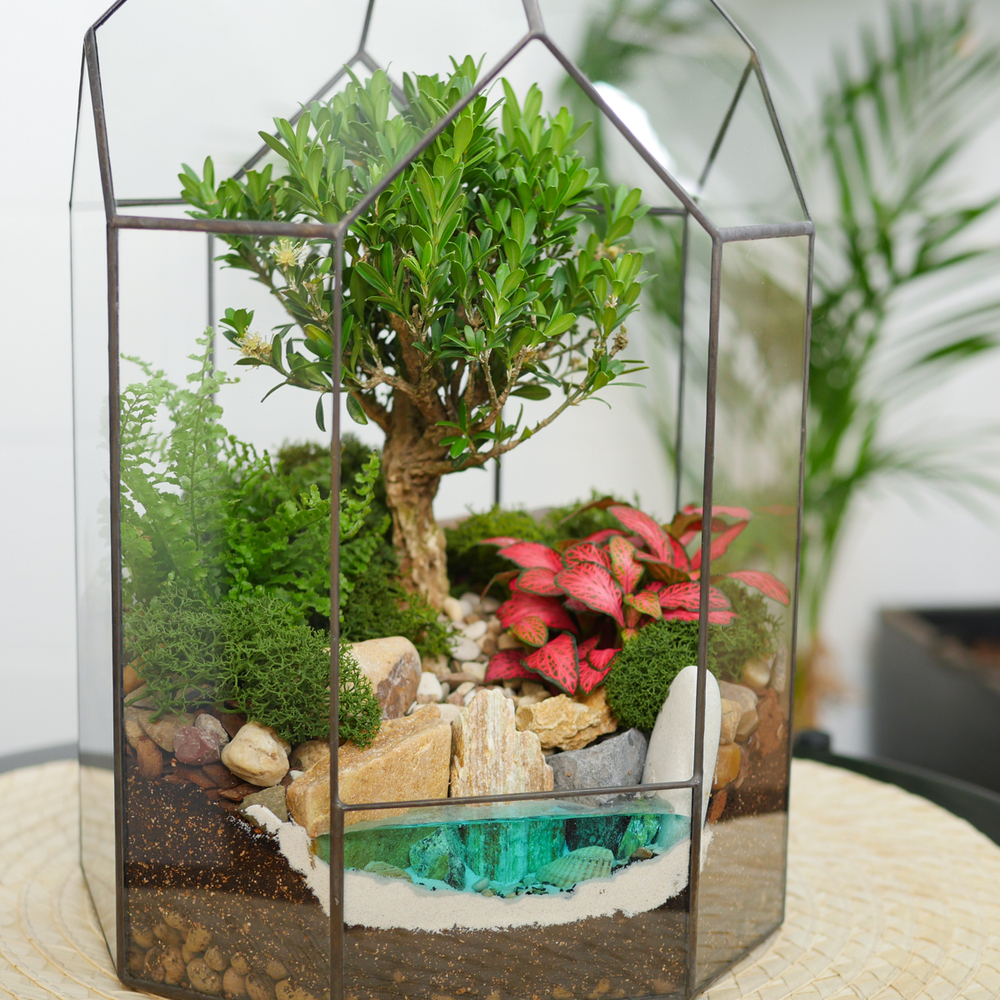 Готовый флорариум бонсай Самшит Бонсариум с озером