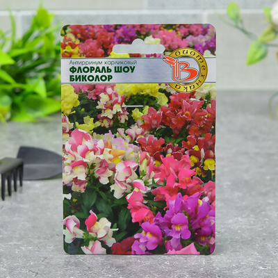АНТИРРИНУМ Флораль Шоу Биколор амп. Биотехника Ц (10шт)