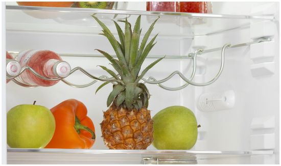 Холодильник Snaige RF53SM-S5MP210 (D91Z1C5SNBX)