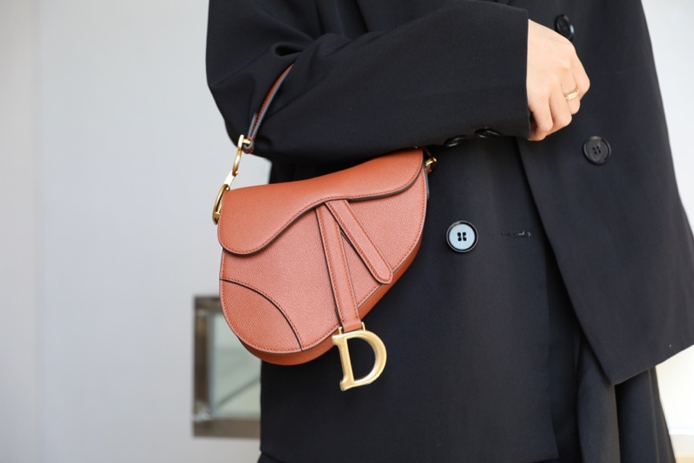 Christian Dior Saddle Bag 21 cm
