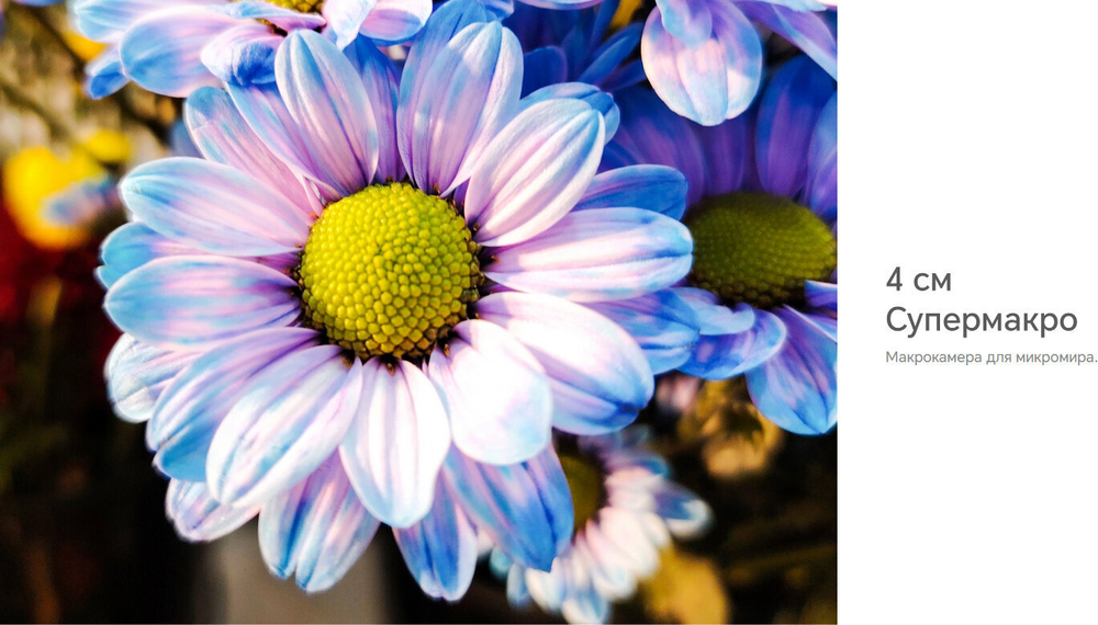 Смартфон Honor X9b 5G 12/256Gb, Ростест, Android 13, Midnight Black