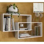 Полка 1 (568*1069)