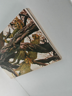 Пиппа бросает вызов