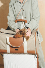 Закрытая сумка Пони-Тревелони