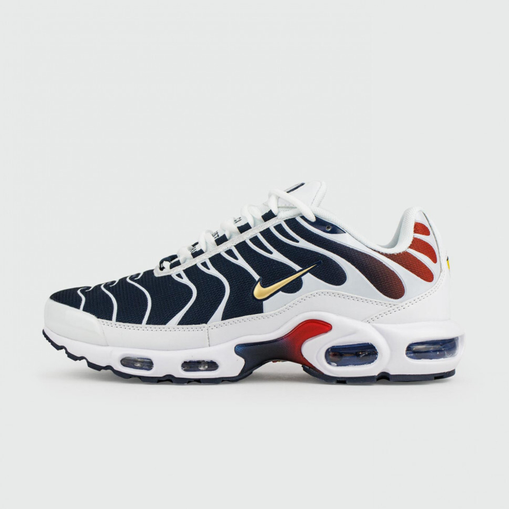 кроссовки Nike Air Max Plus Tn x PSG