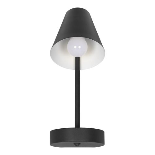 Светильник Настенный Shelf Loft It Black 10216/1W