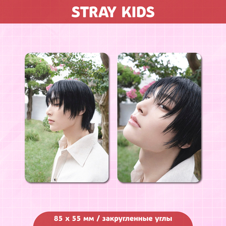 Сет карточек / STRAY KIDS #101 I.N